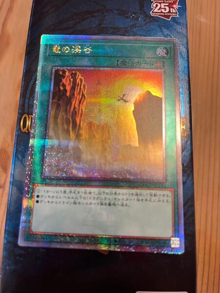 竜の渓谷 遊戯王 クォーターセンチュリーシークレットレア