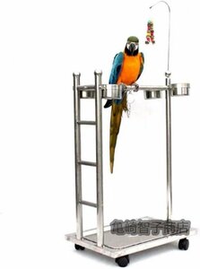  parrot stand bird Play stand bird cage with casters .... measures bird rack stainless steel 