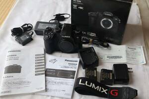 ★美品★ PANASONIC パナソニック LUMIX DC-G99 ボディ ショット数3853回　おまけ付　　