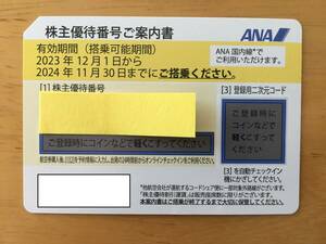 ANA 株主優待券 １枚　2024年11月30日まで　送料無料（普通郵便発送）