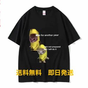 【最安値】猫ミーム　Tシャツ（L）　【新品・未使用】【送料込】