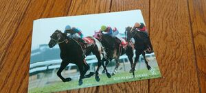 JRA 京都競馬場　シルクフェイマス　2005年　絵葉書　ポストカード　5枚セット