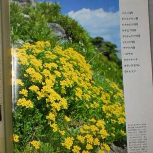 植物の世界 66 （週刊朝日百科） / フウチョウソウ ハタザオ / 朝日新聞社の画像3