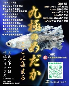 春の新作をGETしよう！！　九極のめだか　イベント入場優先券