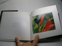 BLACK ブラック THE BOOK OF COLORS 中古良品 単行本 パルコ1992年1刷 定価1200円 頁不明=厚さ0.8cm 単行本2冊程送188コンディション良好_画像5