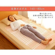 電気毛布 洗える 140×80cm アイリスオーヤマ おしゃれ 毛布 敷き毛布 ダニ退治 電気敷き毛布 電気敷毛布 140×80cm EHB-1408-T ブ YDB409_画像4