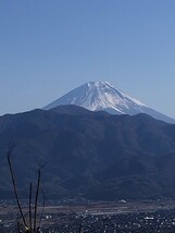 山梨県産　アカシア蜂蜜　1200g（ビン）　1本入り　2023 年5月採り_画像4