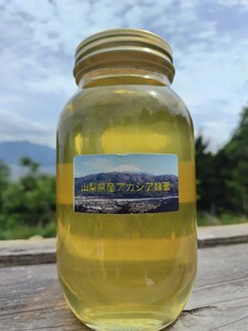 山梨県産　アカシア蜂蜜　1200g（ビン）　3本入り　2023 年5月採り