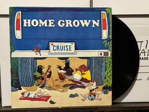 AOR Hawaii LP Mellow Hawaiian Homegrown IV Гаваи запись 