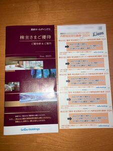 西武ホールディングス 株主優待券 送料込み 送料無料 株主優待 パリーグ公式戦 野球 野球観戦チケットなど プロ野球 埼玉西武ライオンズ