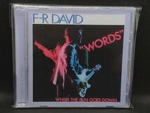 希少！ F.R. David F.R.デヴィッド Words ワーズ Remix リミックス Words Versions_画像2