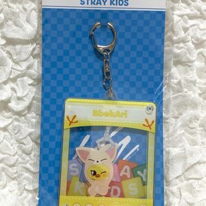 Stray Kids　ストレイキッズ　スキズ　TOY WORLD　ペンミ　ポガリ　BbokAri　フィリックス　Felix ピリ