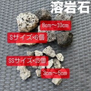 【溶岩石】アクアリウム 水槽レイアウト 3cm〜10cm セット