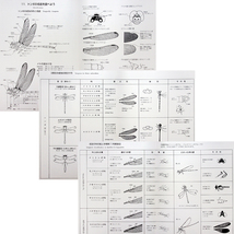 トンボのすべて［新装改訂版］｜生息域別 生息環境 行動 飼育法 見分け方 採集 標本 作り方 日本のトンボ 世界のトンボf_画像7