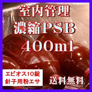 室内管理濃縮培養PSB400ml＋エビオス10錠＋針子用粉エサ＋培養説明書　光合成細菌、水質調整、バクテリア、めだか、針子などに