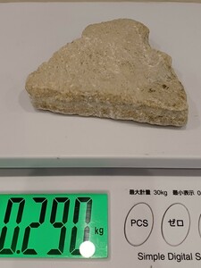 錬A★314 北投石 原石 290g 貴重 鉱物 ホルミシス ラジウム エネルギー 玉川