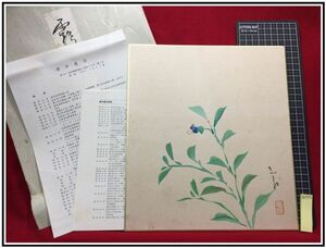 z1372【色紙】洋画家【櫻井慶治　霧草　タトウ付】真筆保証　直筆　　昭和55年前後の作品