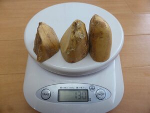 スーパーSALE！残りわずか！売切り！色々な加工に！★□カバ牙 カットピース/先生地 130g！擬餌餌、彫刻材、提物、パーツ、etc... 象牙の代