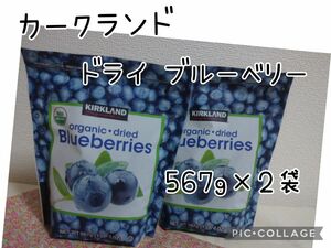 カークランドシグネチャー オーガニック ドライ ブルーベリー 大容量567g×2袋