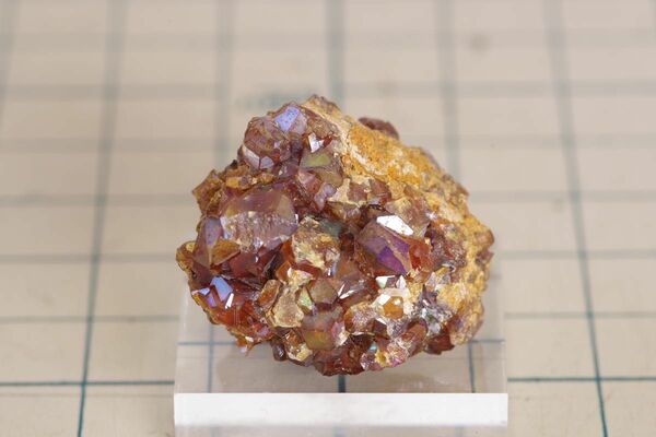 国産鉱物　鉱物標本　レインボーガーネット　クラスター