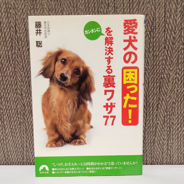 愛犬の「困った！」をカンタンに解決する裏ワザ７７ （青春文庫　ふ－１７） 藤井聡／著