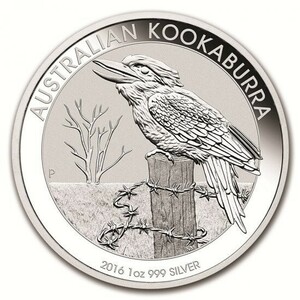 オーストラリア クッカバラ（カワセミ） 銀貨 1オンス 2016年 
