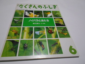 * elementary school middle class ~ many. ...[noi rose . insect ..] luck sound pavilion bookstore 1995 year 6 month number 