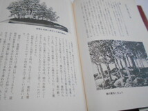 ★樹石社　『寄植え盆栽百科』　著・江口正直_画像5