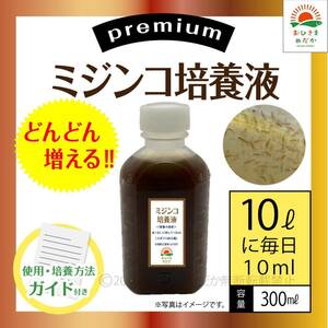 おためし【ミジンコ培養液300ml】アクアリウム錦鯉金魚熱帯魚ゾウリムシめだかタマミジンコ オオミジンコ PSBとクロレラ併用可