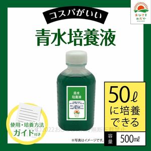 【青水グリーンウォーター培養液（500ml）50L培養分】メダカめだか金魚錦鯉らんちゅう針子稚魚生クロレラPSBミドリムシなど利用に