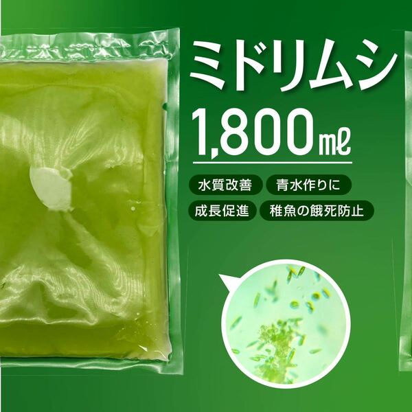 送料無料【ミドリムシ　種水　1800ml】めだか　メダカ　針子　エサ 稚魚 ベタ　psb　 金魚　ミジンコ　クロレラ　針子メダカ卵青水 に