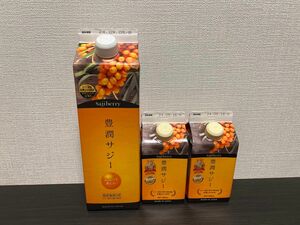 サジー　1000ml 300ml×2