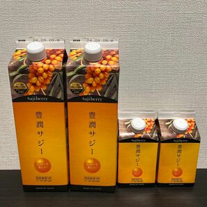 サジー　1000ml×2 300ml×2