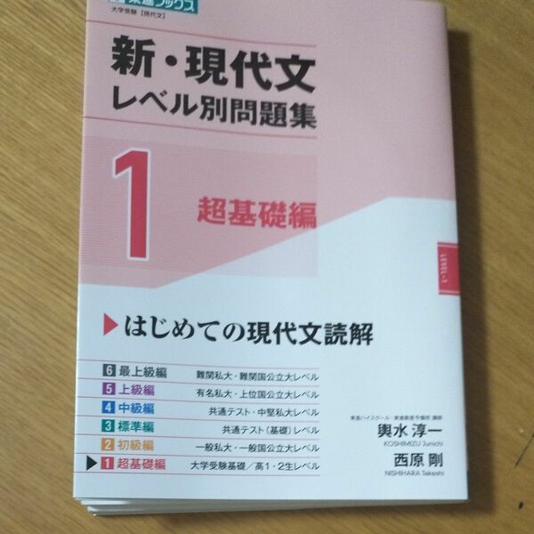 新・現代文レベル別問題集　大学受験　１ （東進ブックス　レベル別問題集シリーズ） 輿水淳一／著　西原剛／著