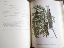 【送料1000】日本の薬用植物 彩色写生図 高取治輔 画/長崎大学教授 限定版 昭和41年発行_画像5