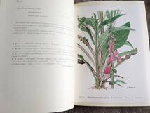 【送料1000】日本の薬用植物 彩色写生図 高取治輔 画/長崎大学教授 限定版 昭和41年発行_画像7