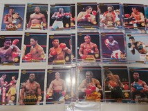 1991 The Officially Licensed Product Of The World Boxing Association Ringlords 40枚 _画像1
