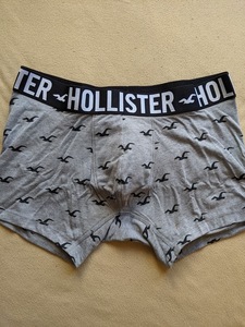 * ラスト * 新品 HOLLISTER ホリスター ボクサー ブリーフ トランクス パンツ XL / L.Grey *