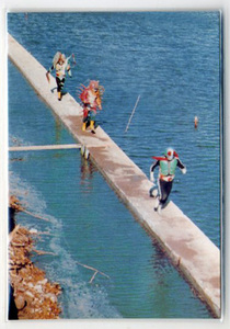 ◆防水対策 厚紙補強 カルビー 仮面ライダーチップスカード（2003 復刻版） 526番 相手はヒルカメレオン トレカ 即決