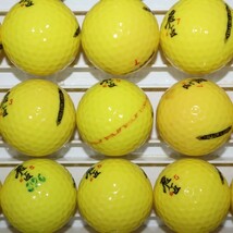 25個 飛匠 イエローラベル Bランク ワークスゴルフ イエロー works golf 中古 ロストボール 送料無料 snt_画像8