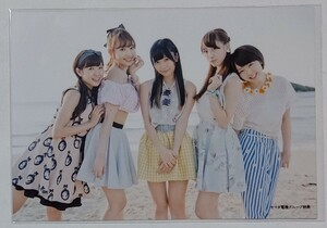 AKB48 ラブラドールレトリバー ヤマダ電機 店舗特典外付け生写真 渡辺美優紀 小嶋陽菜 指原莉乃 松井玲奈 峯岸みなみ