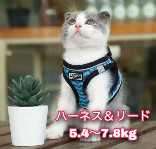 メッシュ♪ 猫用ハーネス 猫に優しい ネコ リード付き　超軽量　夜反射　【M】