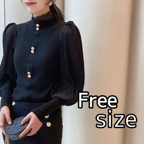 レディース フェミニン シフォン袖 ニットトップス クラシカル 上品 ブラック