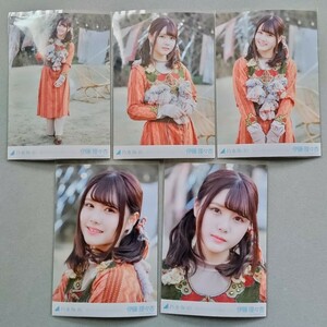 乃木坂46 伊藤理々杏 毎日がBrand new day 生写真 5枚セット