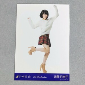 乃木坂46 北野日奈子 2014 Lucky Bag 生写真 1