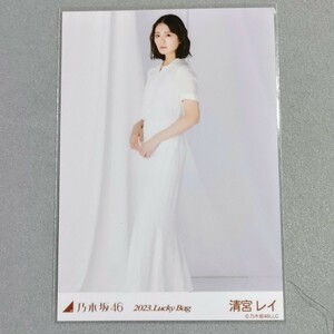 乃木坂46 清宮レイ 2023 Lucky Bag 生写真