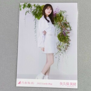 乃木坂46 矢久保美緒 2022 Lucky Bag 生写真