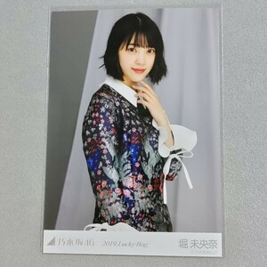 乃木坂46 堀未央奈 2019 Lucky Bag 生写真