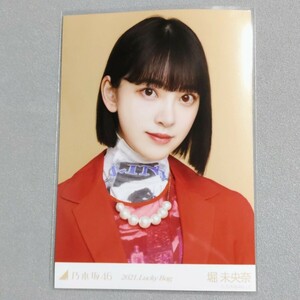 乃木坂46 堀未央奈 2021 Lucky Bag 生写真