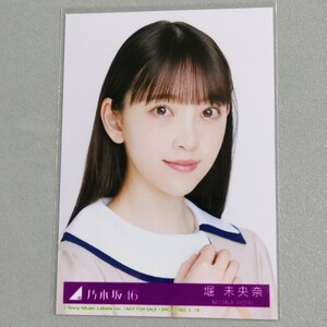 乃木坂46 堀未央奈 しあわせの保護色 生写真